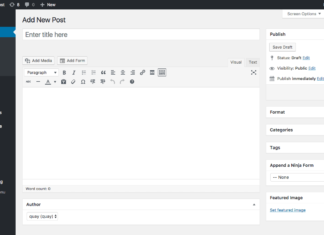 WORDPRESS 5.0 editor